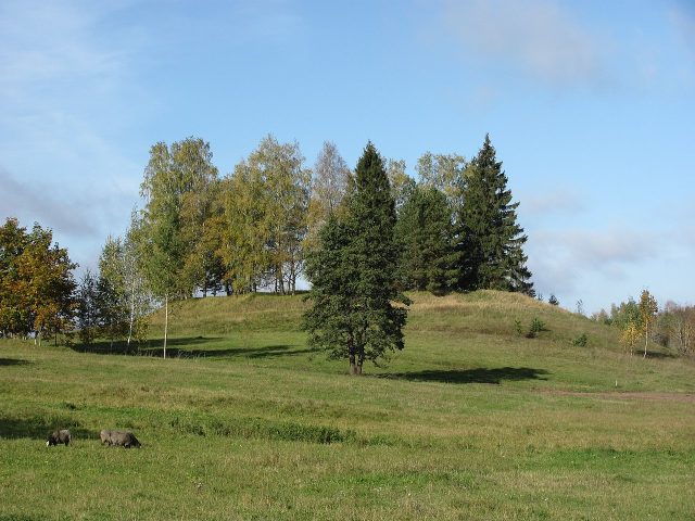 Petrašiūnų piliakalnis