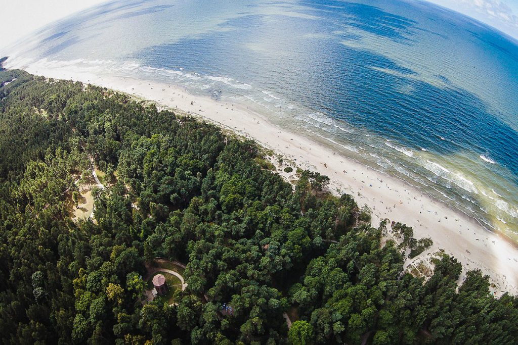 Baltijos jūra. Gintaras