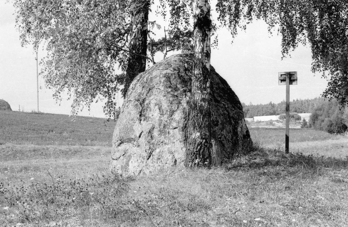 Fotonegatyvas. Akmuo „Raganos sostas“ arba Lapeliškių akmuo