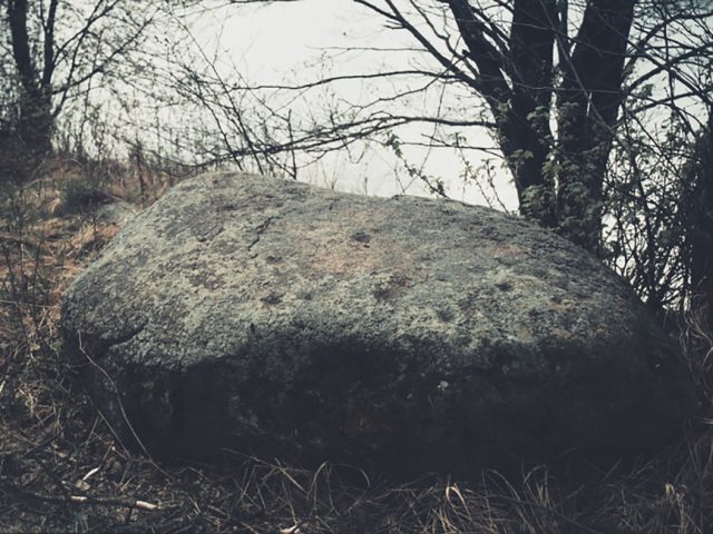 Paežerių akmuo su dubenėliais