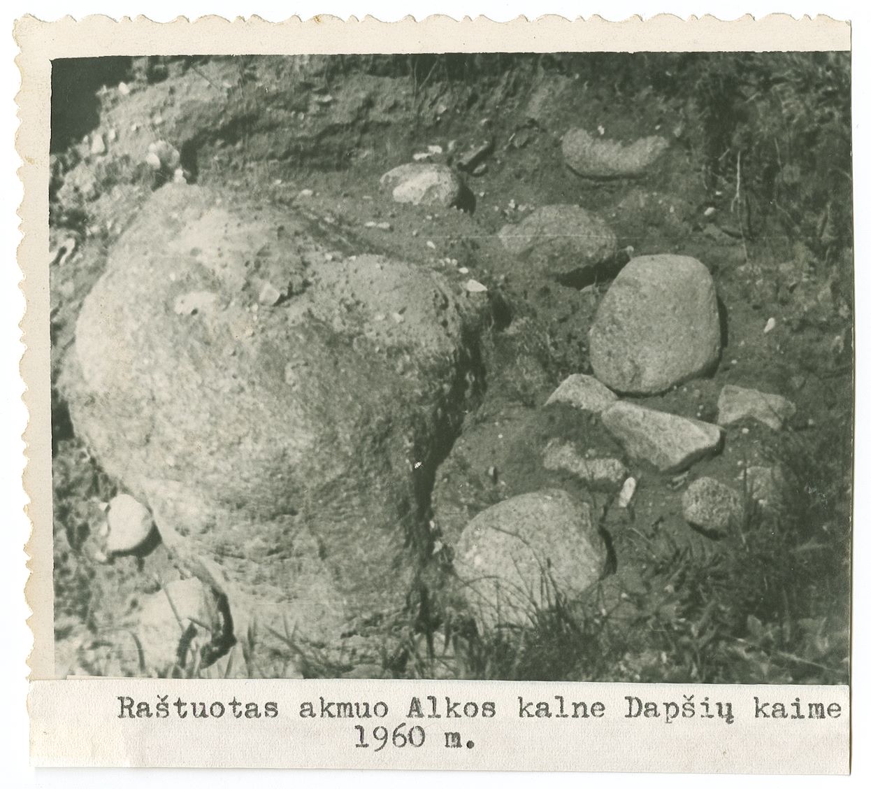 Raštuotas akmuo Alkos kalne Dapšių kaime
