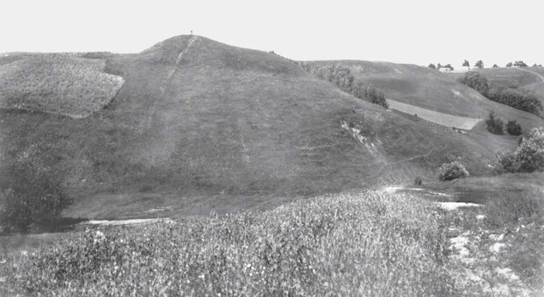 Bažavalės piliakalnis iš pietų pusės Autorius Liudvikas Kšivickis