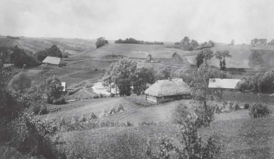Gėluvos ( Birutkalnis ) piliakalnis iš pietryčių pusės XX a. pradžioje.L. Kšivickio nuotrauka